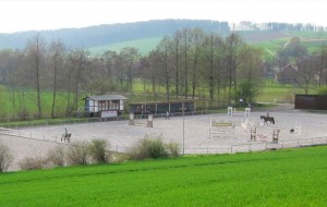 springplatz2